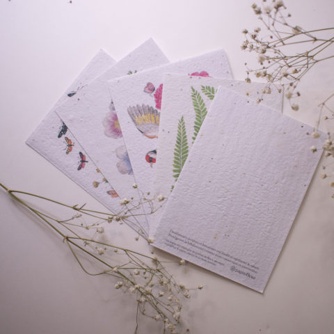 Set de correspondance biodiversité X5