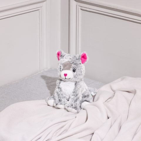 Bouillotte peluche chat