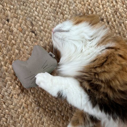 Jouet tête de chat
