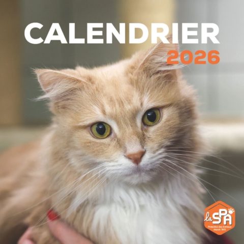 Calendrier La SPA 2026