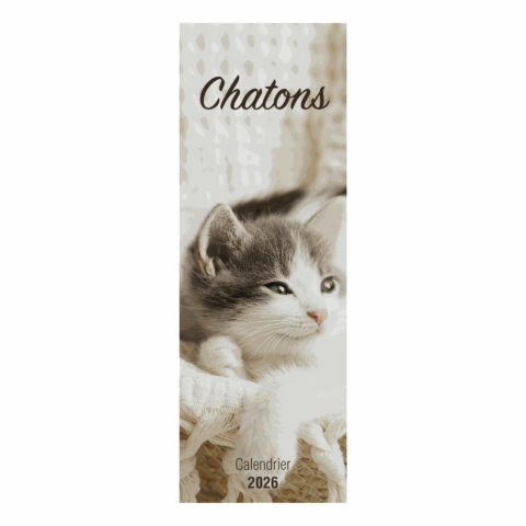 Calendrier "Chatons" - 2026