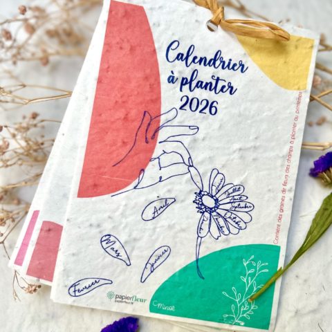 Calendrier à planter 2026 - Mains et fleurs