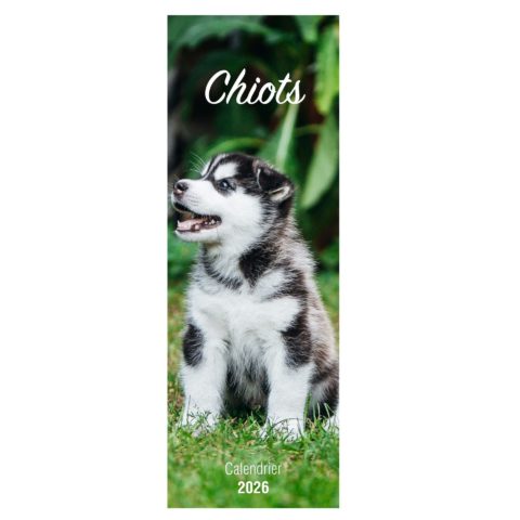 Calendrier "Chiots" - 2026