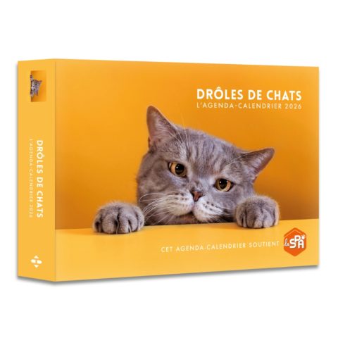 Agenda Drôle de Chats - 2026