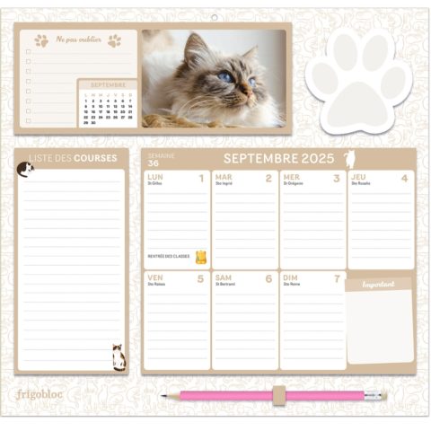 Frigobloc chats 2025-2026