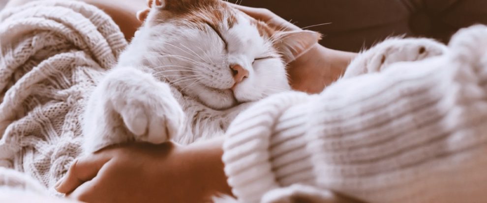 Je soutiens, j’ajoute un don à ma commande