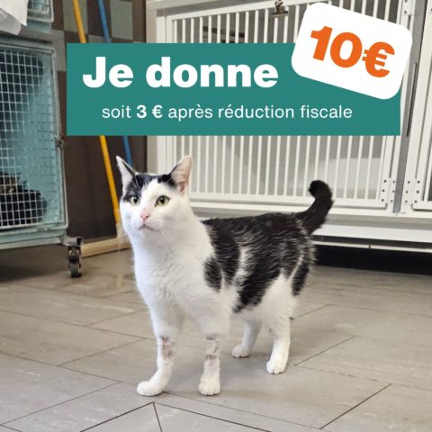 Don de 10€ - Pour 1 mois de nourriture