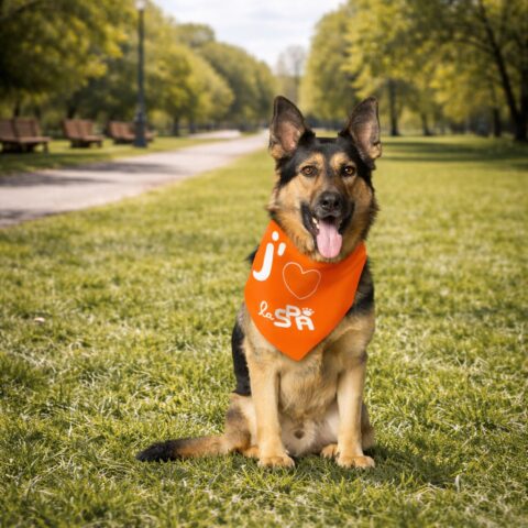 Bandana "J'aime la SPA"