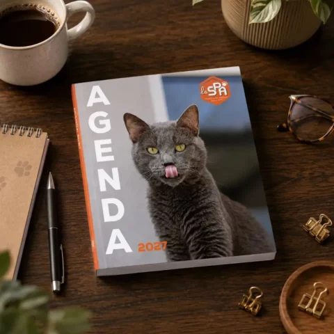 Agenda LA SPA 2027
