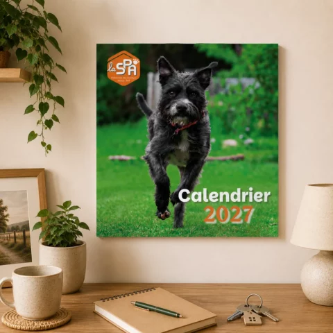 Calendrier La SPA 2027