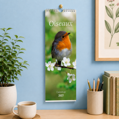 Calendrier long - Oiseaux 2027