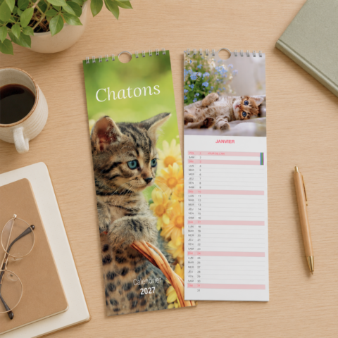 Calendrier long - Chatons 2027