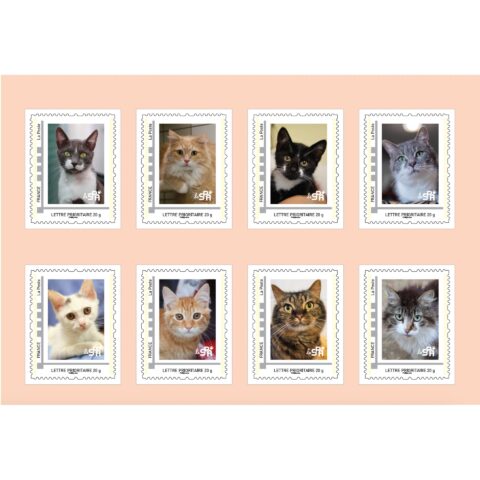 CARNET DE TIMBRES CHATS - LA SPA